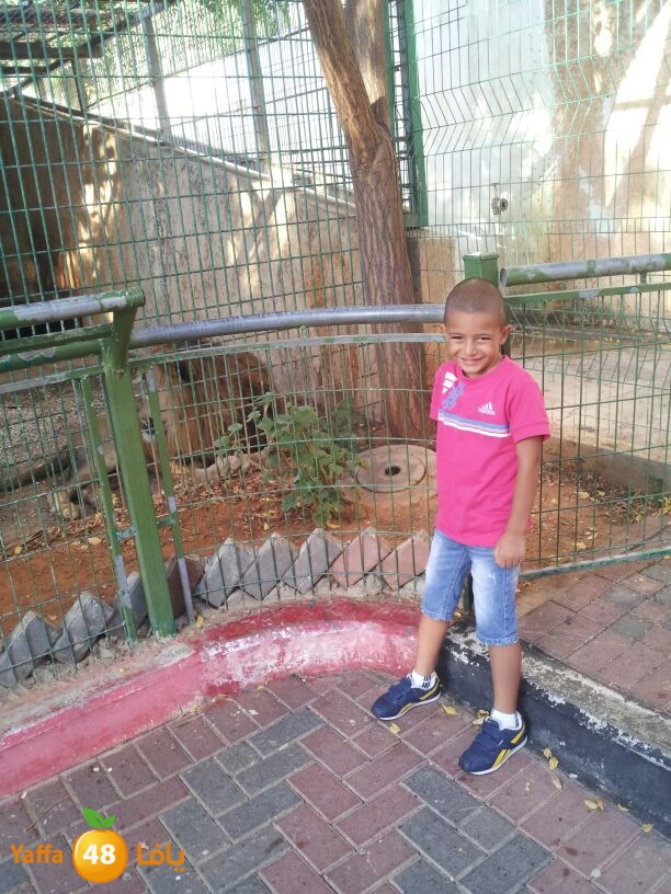 tokhy 3aysha825 (1).jpeg